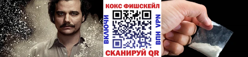 КОКАИН Fish Scale  Шарья 