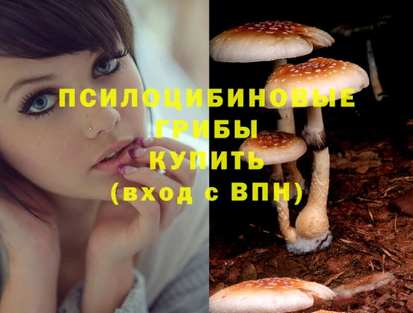 шишки Баксан