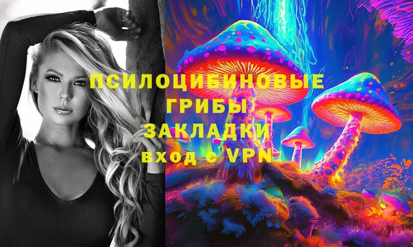 шишки Баксан