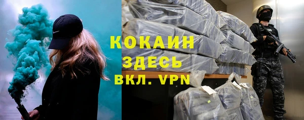 шишки Баксан