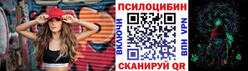 Галлюциногенные грибы мицелий  где купить наркоту  OMG маркетплейс  Шарья 